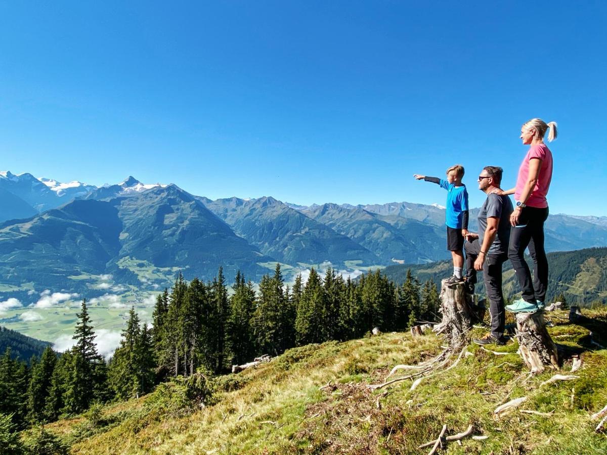 נידרנסיל Alpen Chalets Zell Am See מראה חיצוני תמונה